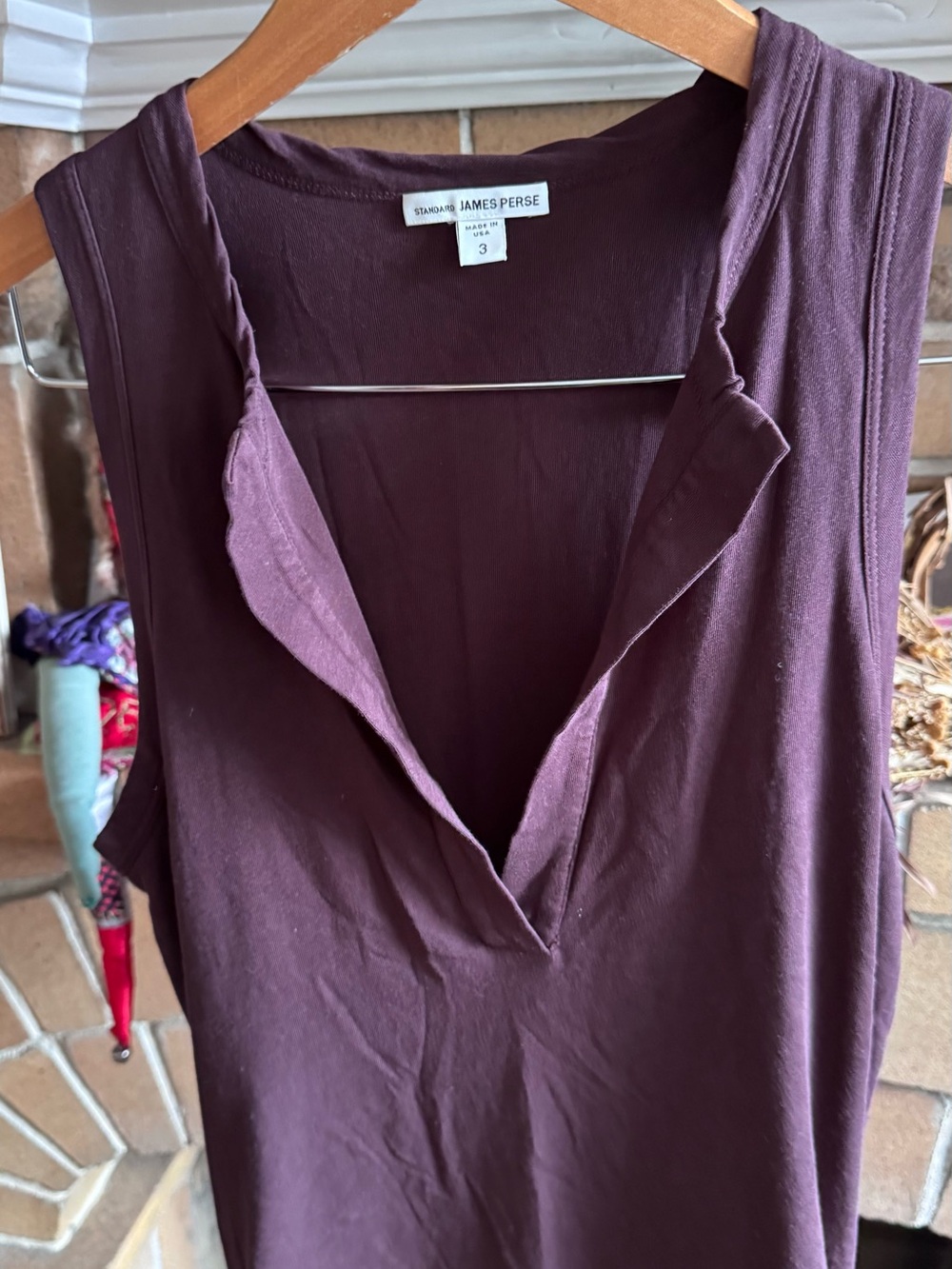 James Perse Deep Plum V-Neck Top - Picture 3 of 4